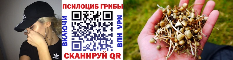 Галлюциногенные грибы прущие грибы где купить Феодосия